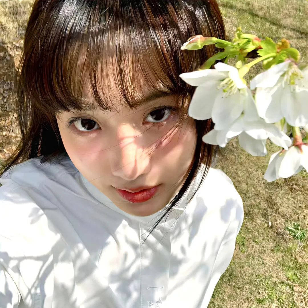 战地花开